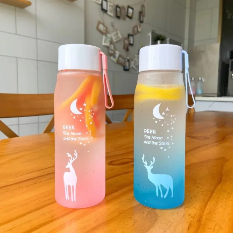 560ml BPA-Free Wide Mouth Water Bottle with Silicone Ring & Lid Reusable Water Bottle Babs