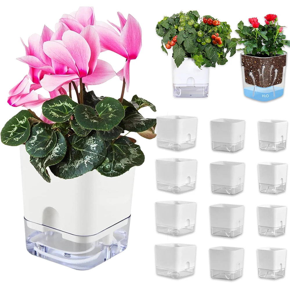 Clear Self-Watering Planter – Wicking Pot with Watering Bottle Self-Watering Planter Babs