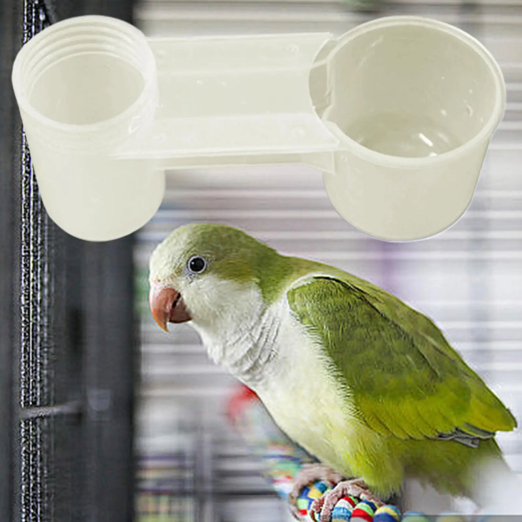 Double Nozzle Bird Water Feeder for Parrots, Pigeons & More Bird Water Feeder Babs