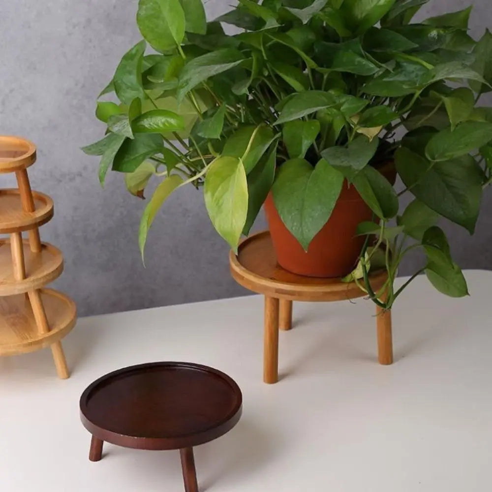 Solid Wood Plant Stand | Succulent & Flower Pot Holder Plant Stand Babs