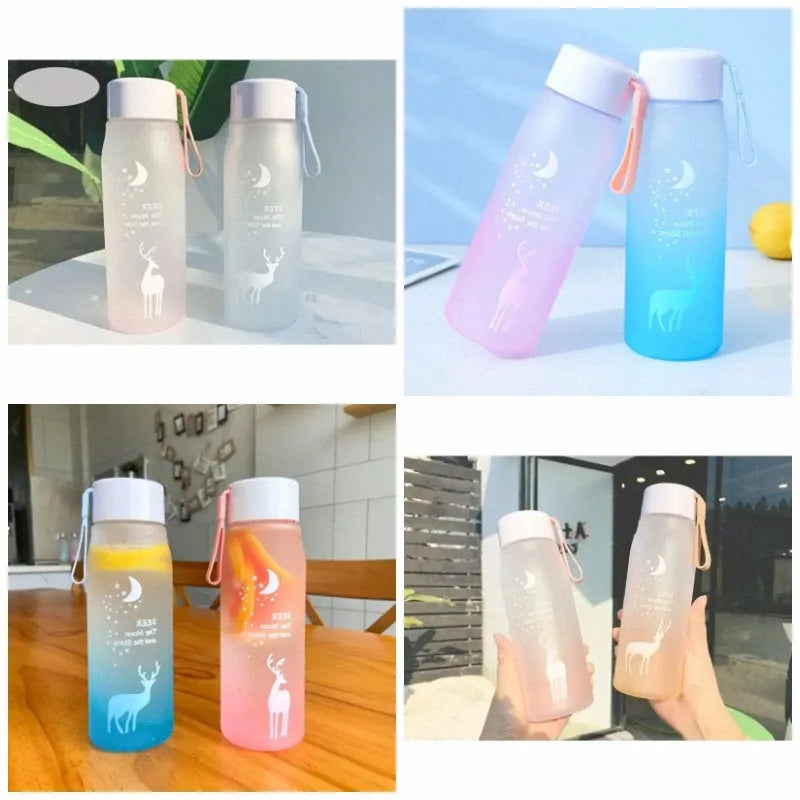 560ml BPA-Free Wide Mouth Water Bottle with Silicone Ring & Lid Reusable Water Bottle Babs