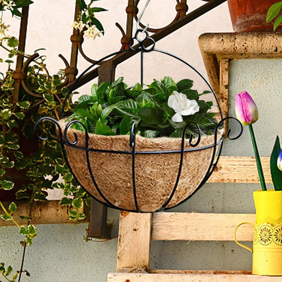 Coco Coir Hanging Basket Liner – 3 Sizes, Natural Fiber Basket Coir Liner Babs