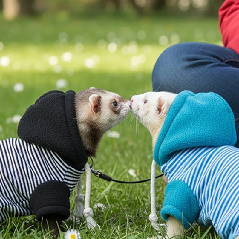 Pet Ferret Hooded Outfit with Leash – Warm Soft Walking Harness Pet Ferret Outfit Babs