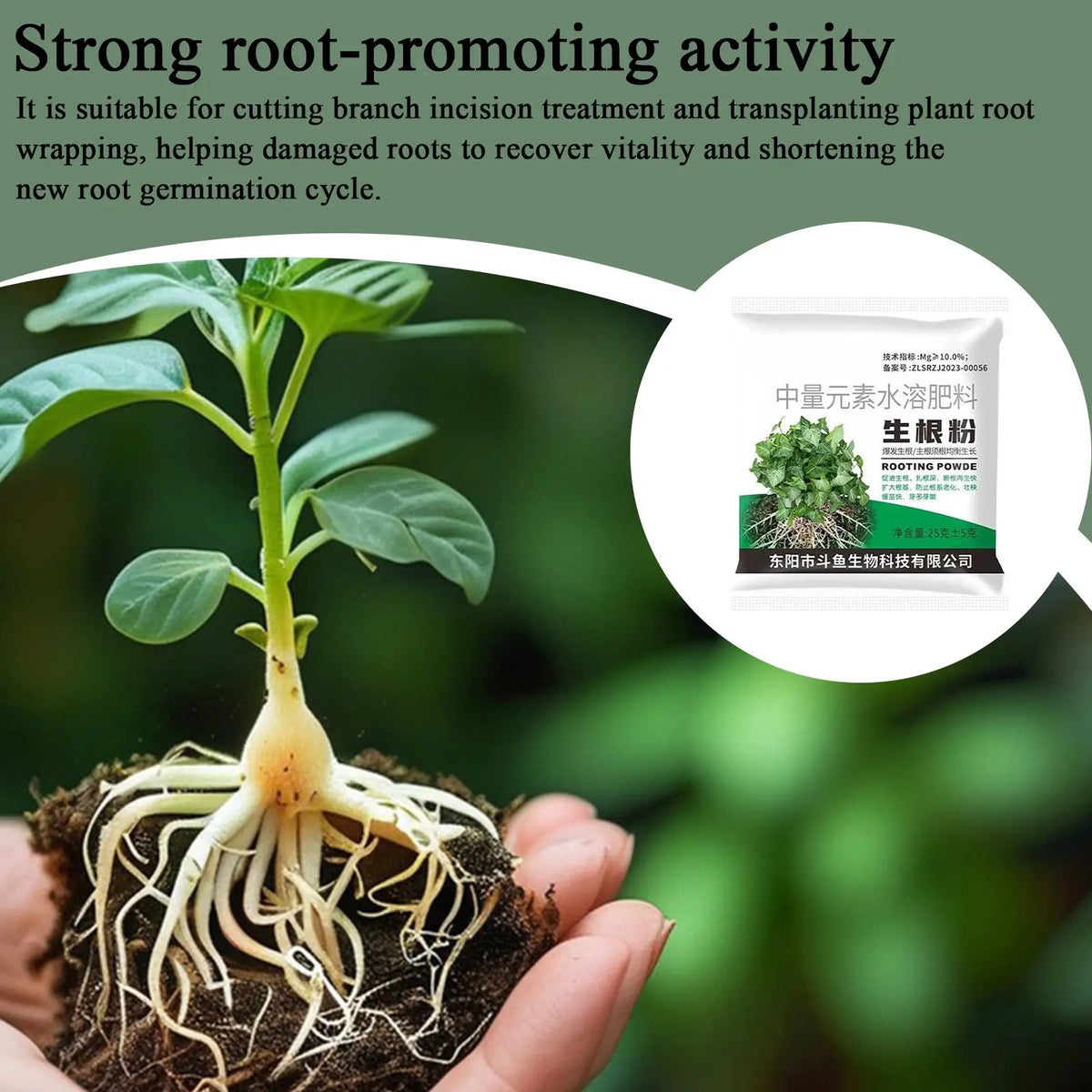Rooting Powder Plant Root Stimulator – Cuttings, Trees & Veggies Rooting Powder Babs
