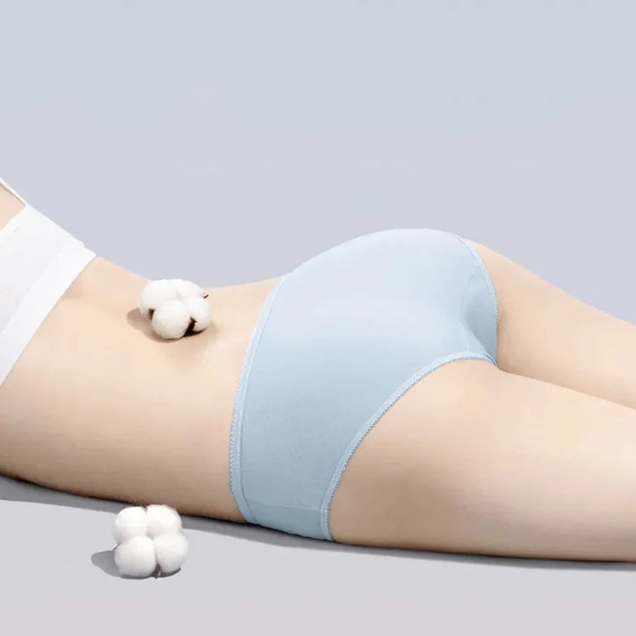 5-Pack Women's Disposable Cotton Briefs | Travel & Postpartum Disposable Briefs Babs