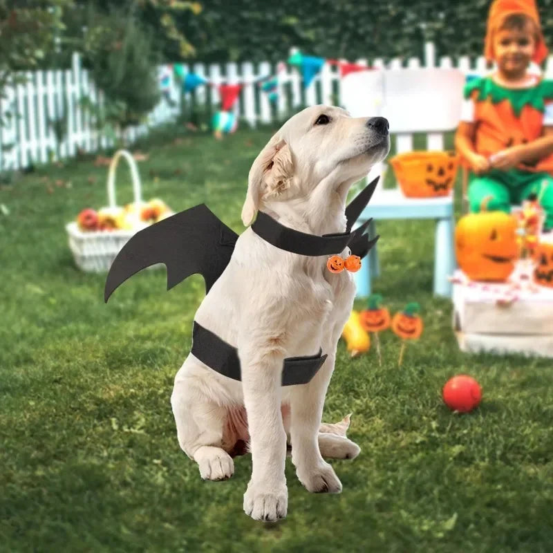 Bat Wing Pet Costume – Cat & Dog Halloween Cosplay Cape Pet Costume Cape Babs