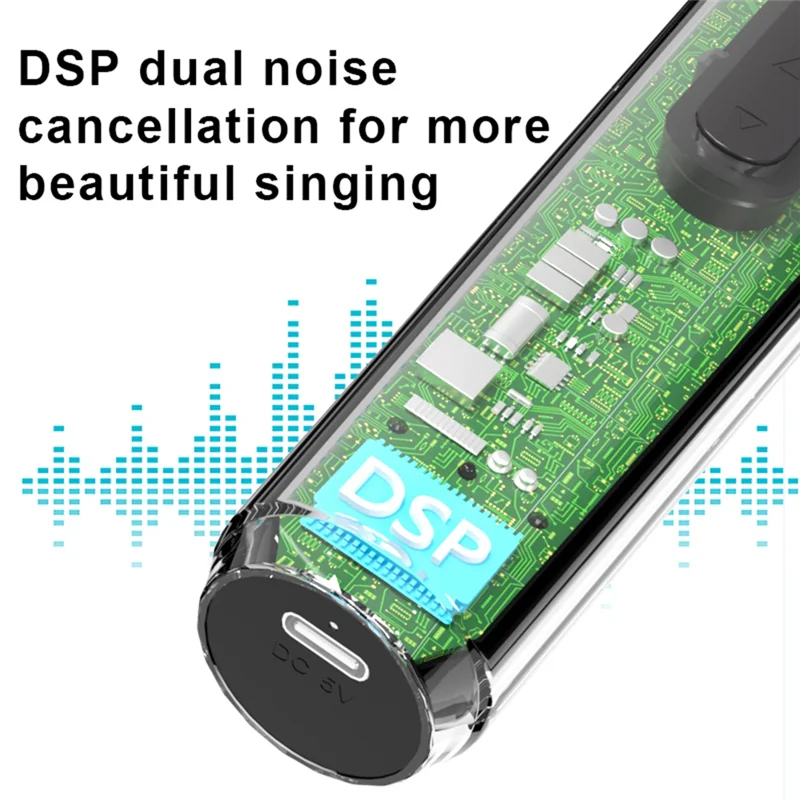 2.4G Wireless Handheld Microphone – Karaoke, Church & Events Wireless Microphone Babs