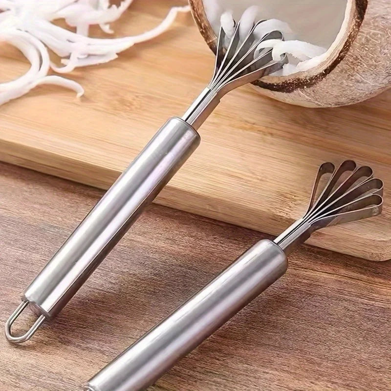 Stainless Steel Coconut Shaver & Fish Scale Remover Tool Kitchen Scraper Tool Babs