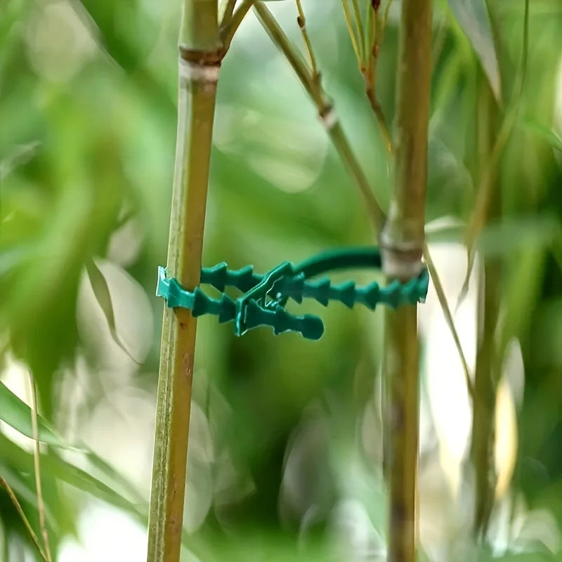 Adjustable Green Garden Plant Twist Ties – Flexible Support Garden Plant Ties Babs