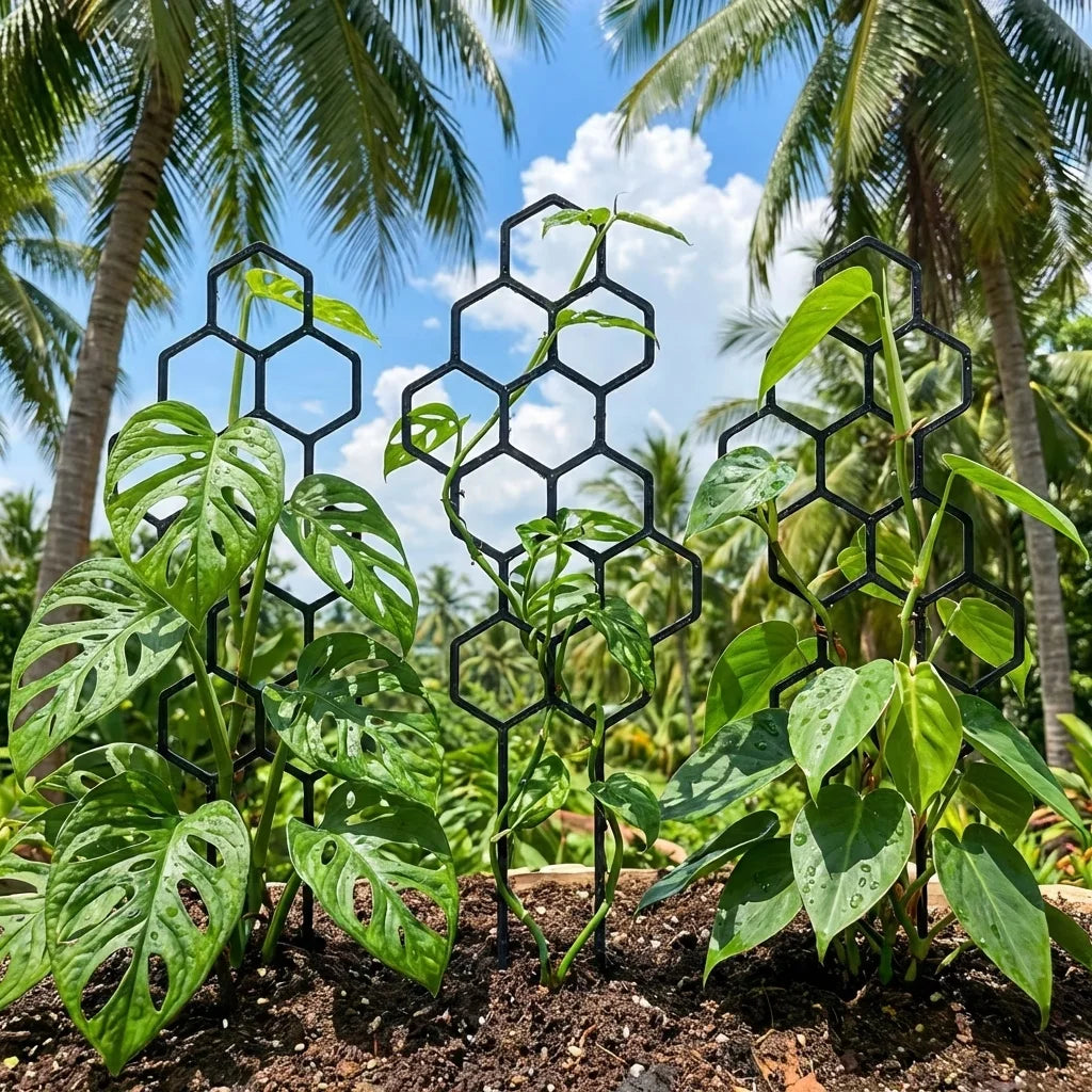 2pcs Honeycomb Grid Plant Support Climbing Frame Indoor Outdoor Plant Support Frame Babs