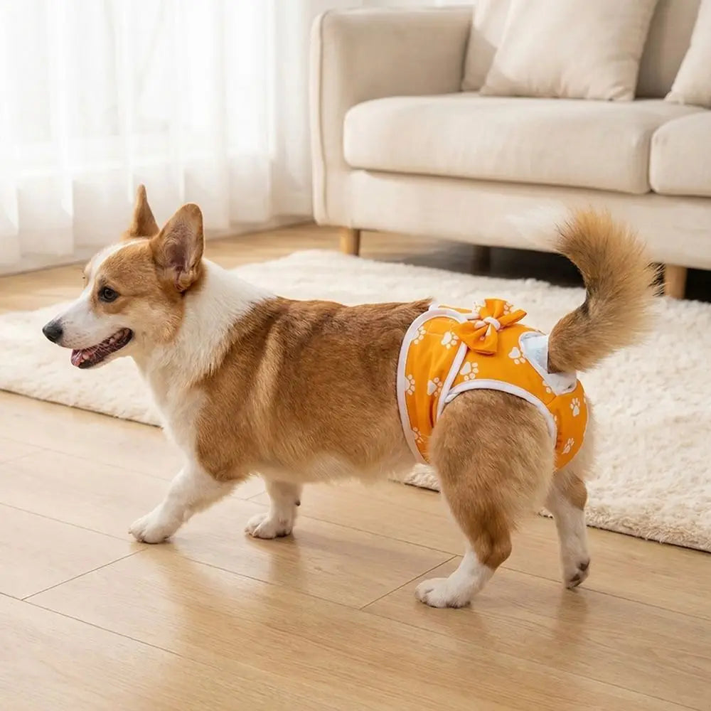 Washable Dog Diaper Pants – Adjustable Paw Pattern, S–XL Dog Diaper Pants Babs