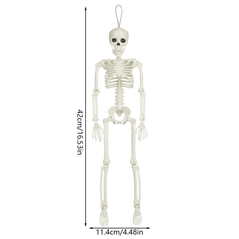 40cm Posable Halloween Skeleton Skull Horror Prop & Party Decor Halloween Skeleton Prop Babs A