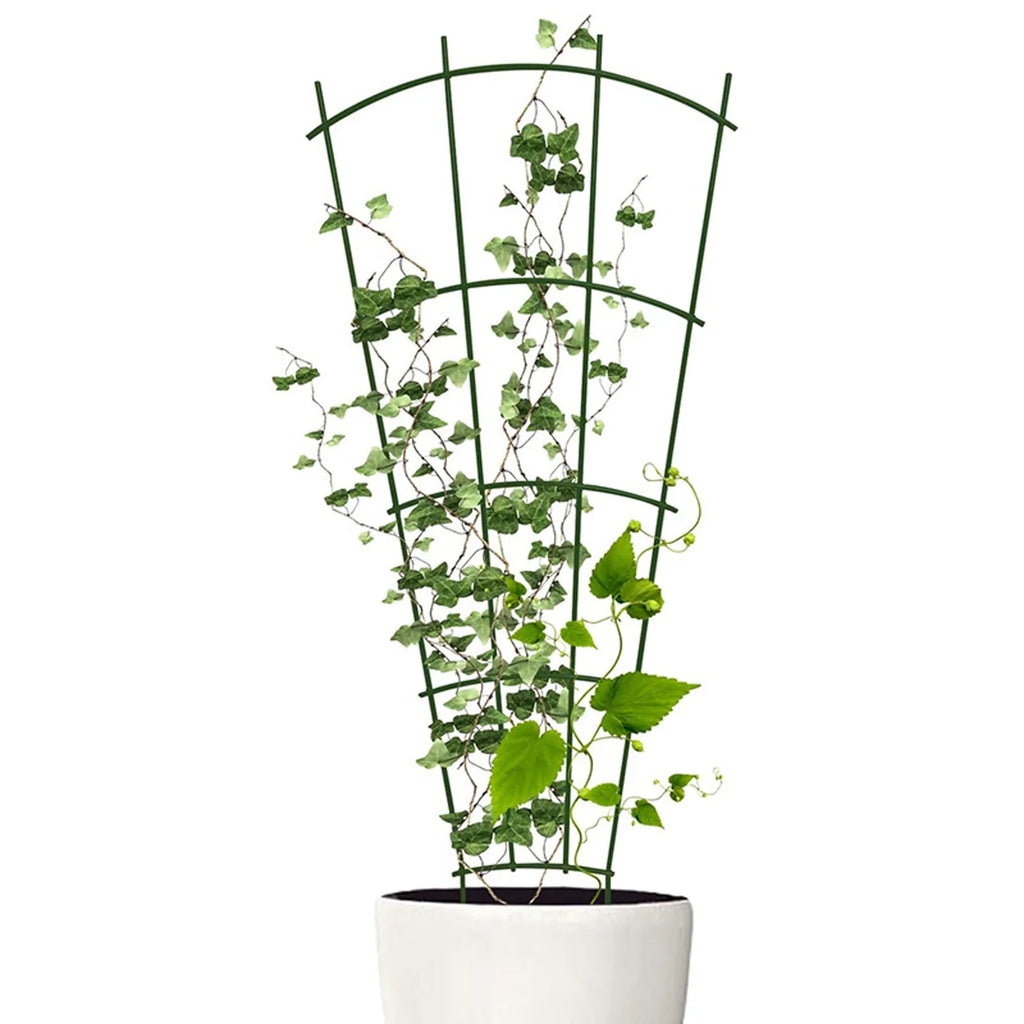 Metal Plant Trellis Climbing Frame – Vine & Flower Garden Support Plant Trellis Support Babs