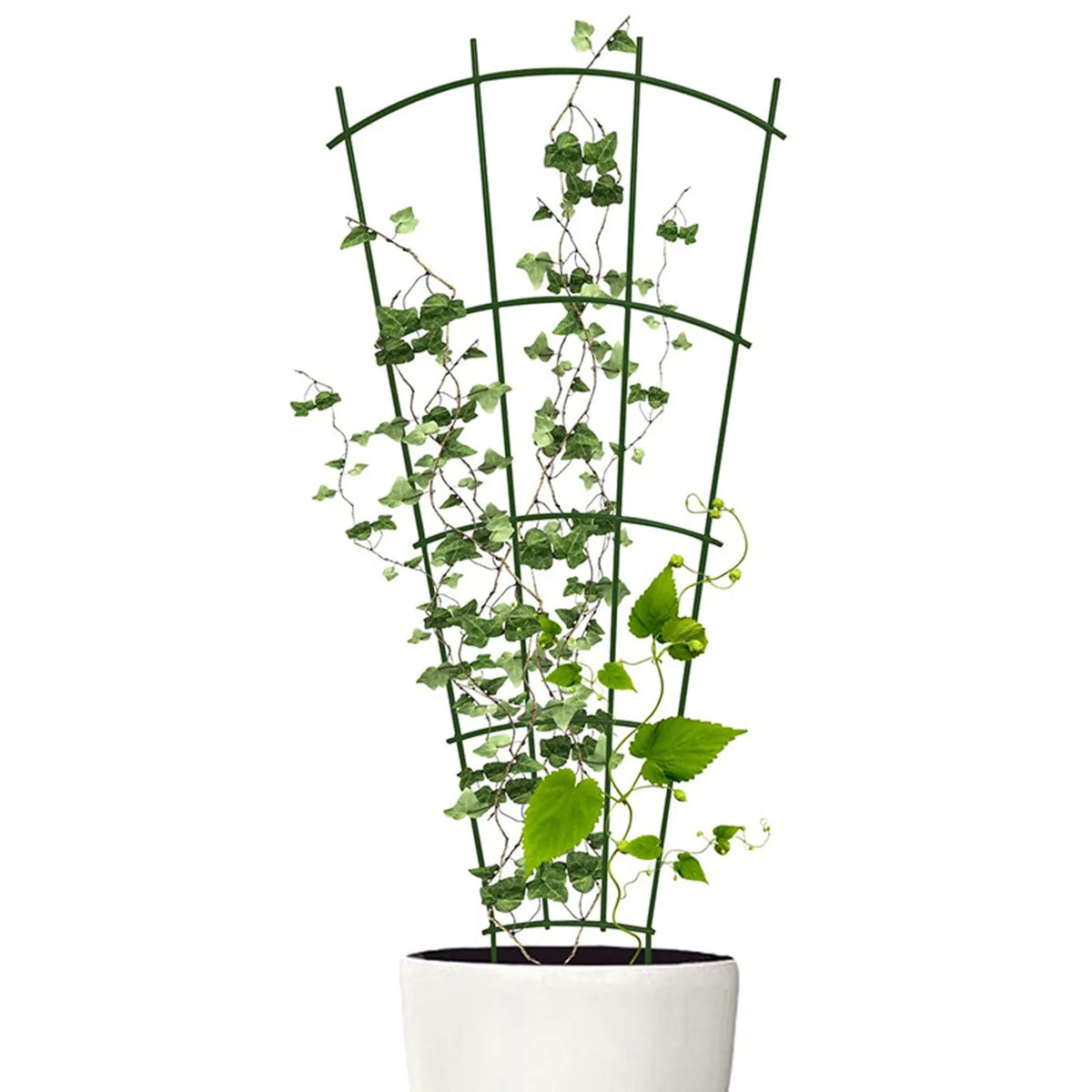 Metal Plant Trellis Climbing Frame – Vine & Flower Garden Support Plant Trellis Support Babs