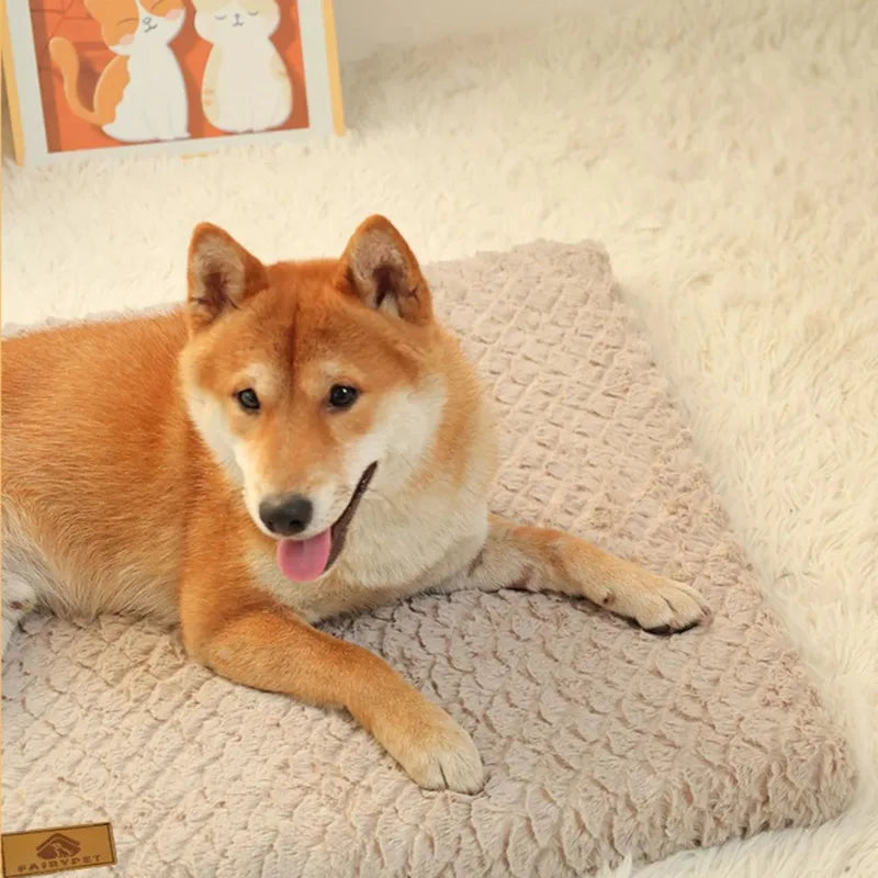 3D Foam Dog Bed | Washable Faux Fur, Waterproof, Anti-Slip Dog Bed Babs