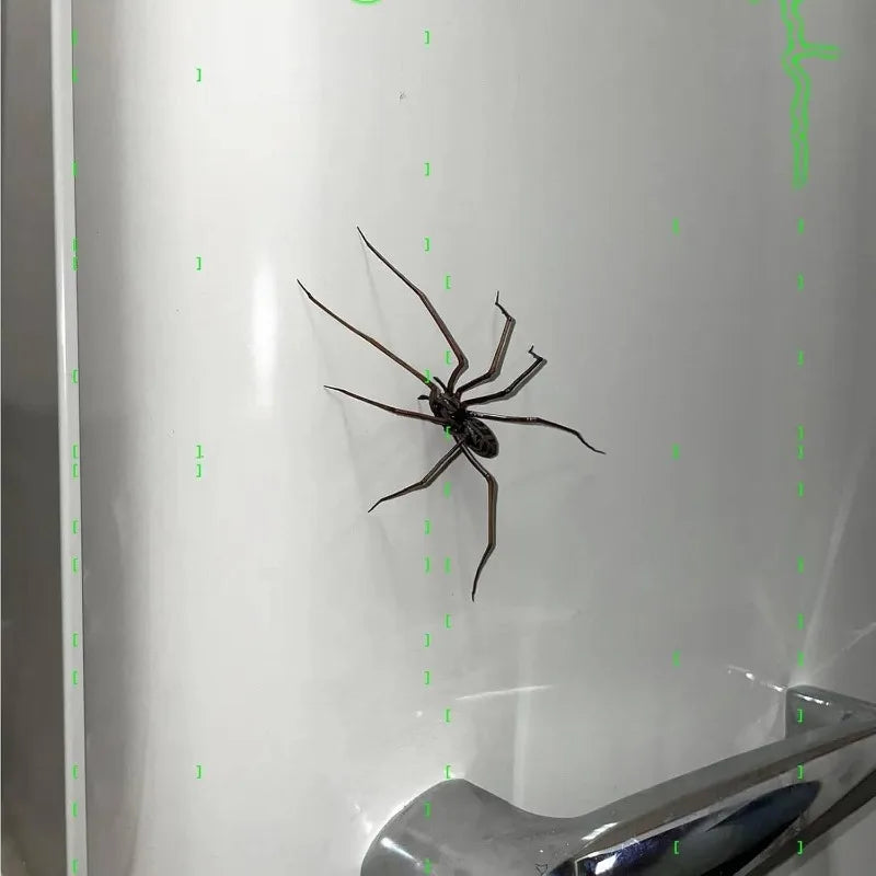 Halloween Spider Fridge Magnets – Fun Holiday Refrigerator Decor Holiday Fridge Magnet Babs