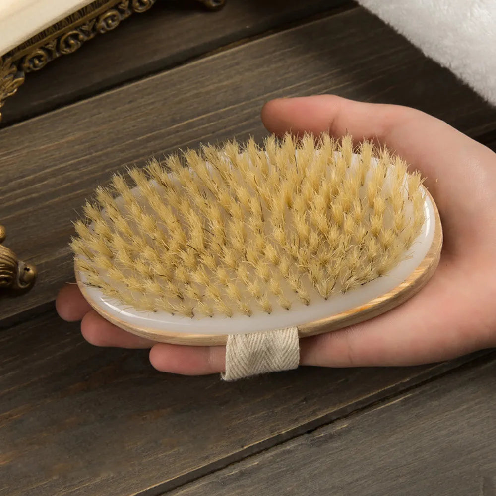 Wooden Long Handle Body Shower Brush – Exfoliating & Massage Body Shower Brush Babs