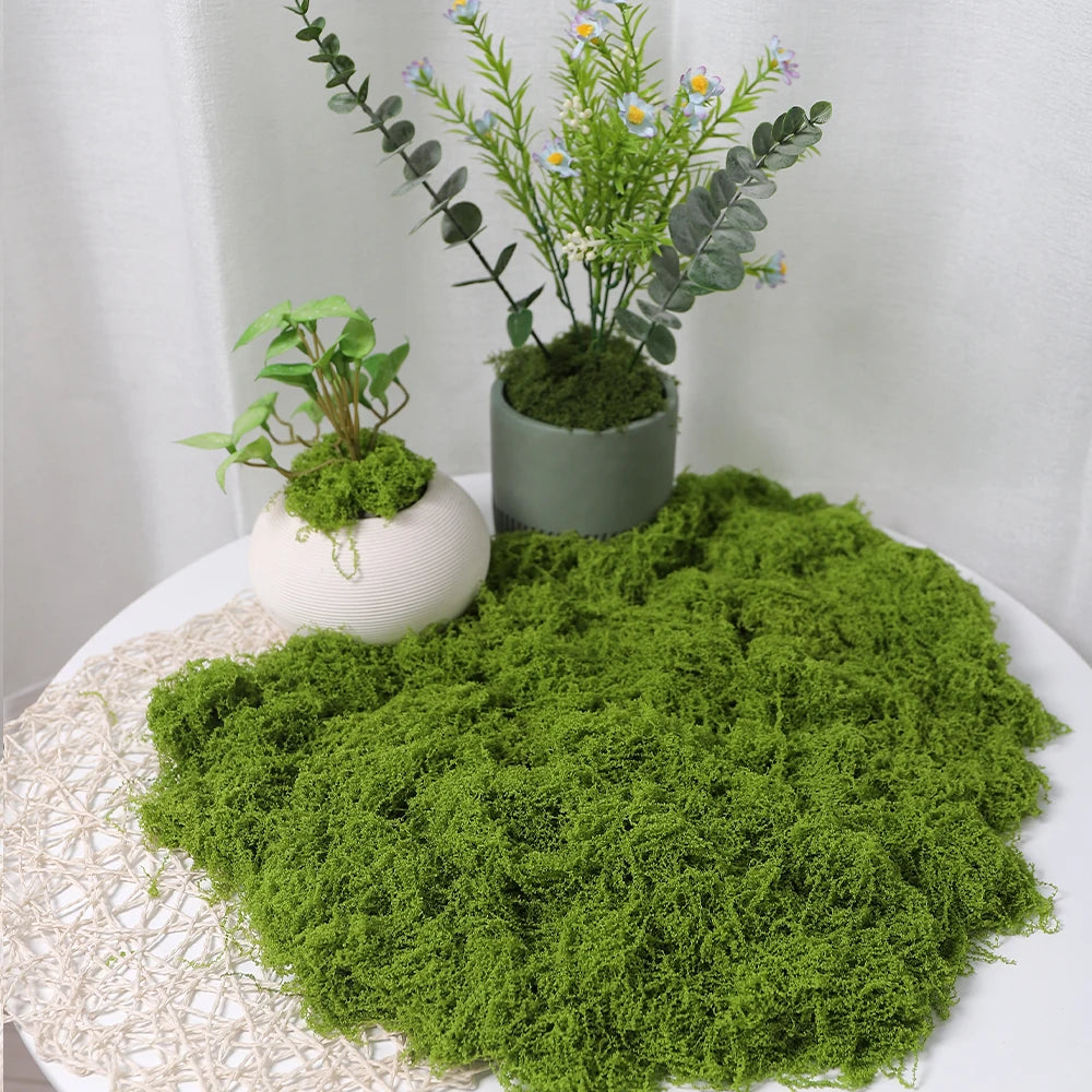Artificial Faux Moss for DIY Crafts, Home & Garden Decor Artificial Moss Decor Babs 100g-Light Green