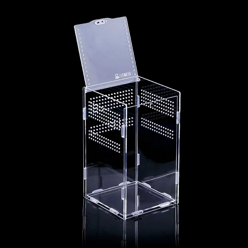 Acrylic Reptile Breeding Box – Snake, Lizard & Insect Terrarium Reptile Breeding Box Babs