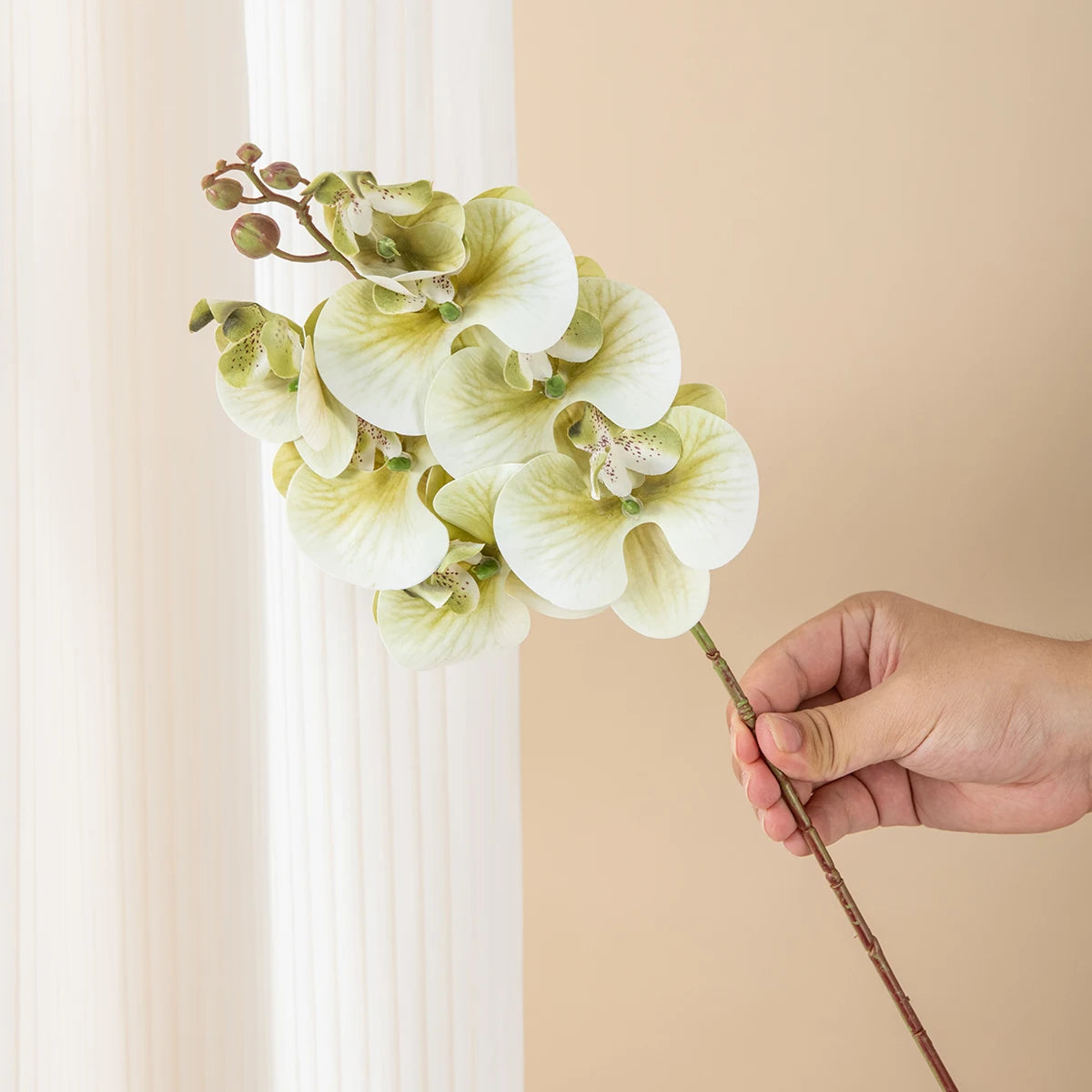 Silk Moth Orchid Artificial Flowers – Wedding & Home Décor Artificial Silk Flowers Babs Color3 1pc