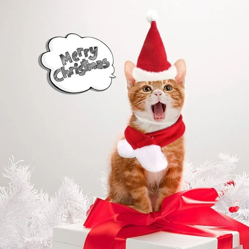 Cat Christmas Hat & Scarf Set – Holiday Pet Costume & Photo Prop Pet Holiday Costume Babs
