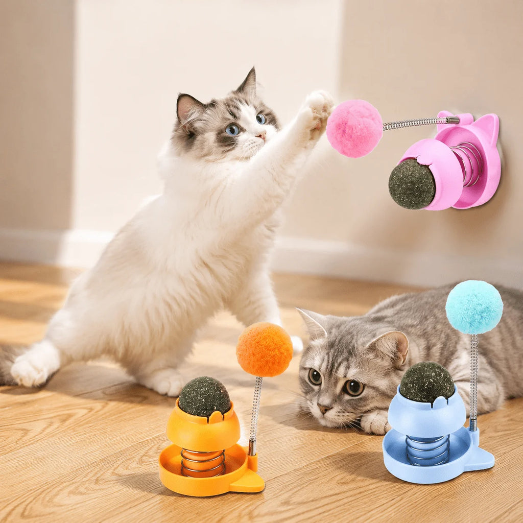 2pcs Interactive Spring Cat Toy with Catnip Ball & Pom-pom Interactive Cat Toy Babs