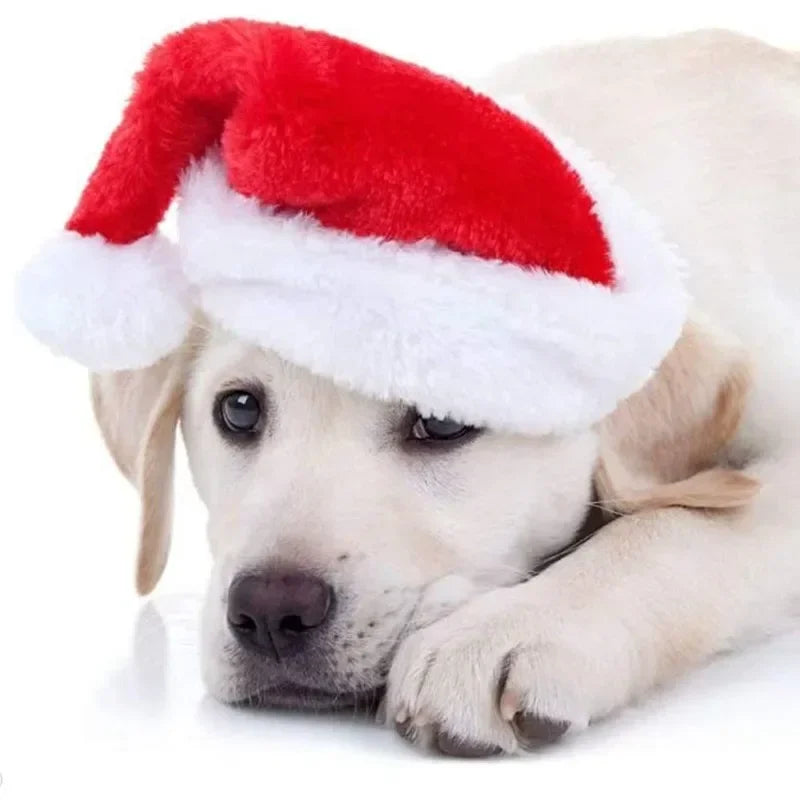 Festive Pet Santa Hat – Plush Christmas Cap for Dogs & Cats Pet Holiday Costume Babs