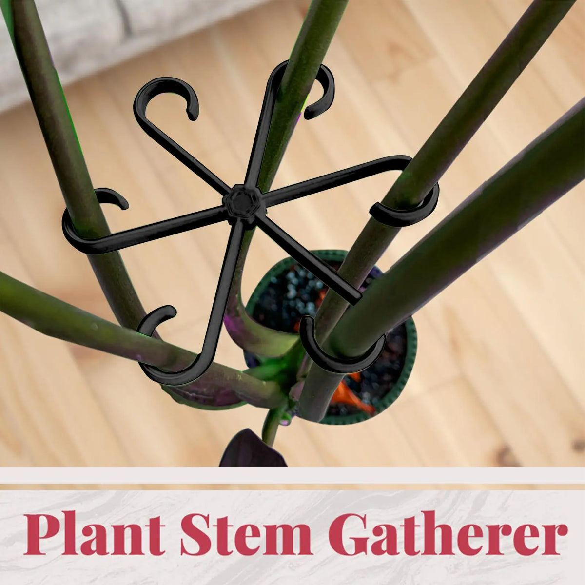 4-Piece Plant Stem Support Trellis for Climbing Vines Plant Trellis Support Babs