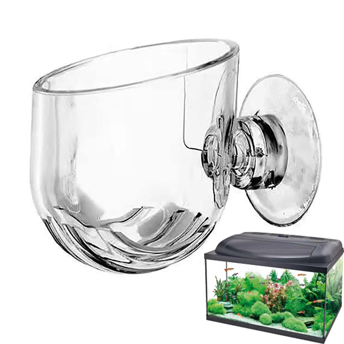 Acrylic Aquarium Plant Cup with Suction Holder | Fish Tank Pot Aquarium Plant Holder Babs