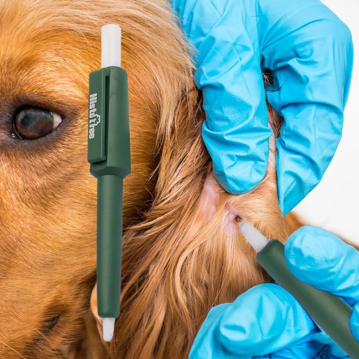 Pet Tick Remover Pen – Hook Picker for Cats, Dogs & Rabbits Tick Remover Tool Babs