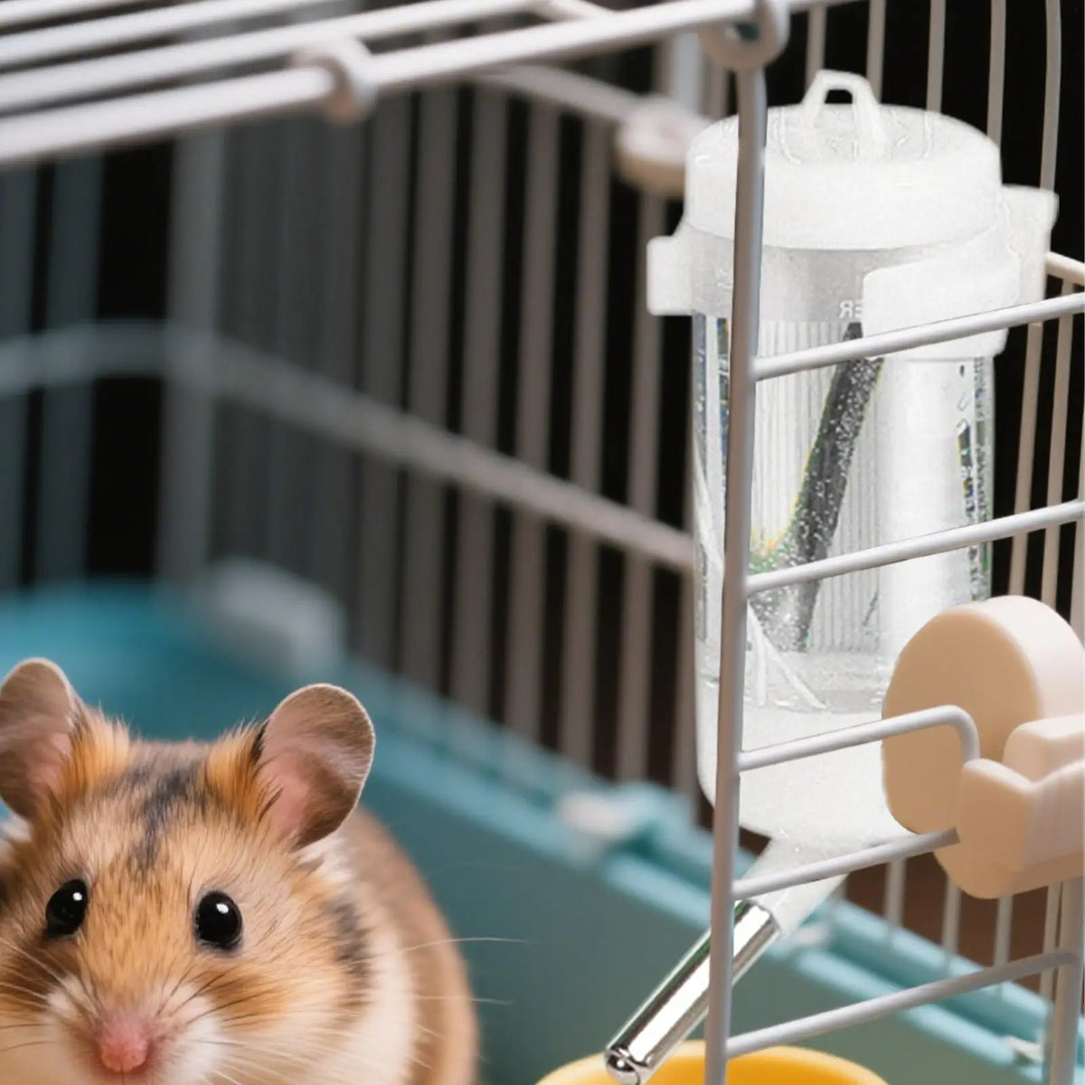 No-Drip Hamster Water Bottle | Small Animal Water Dispenser Small Animal Water Bottle Babs