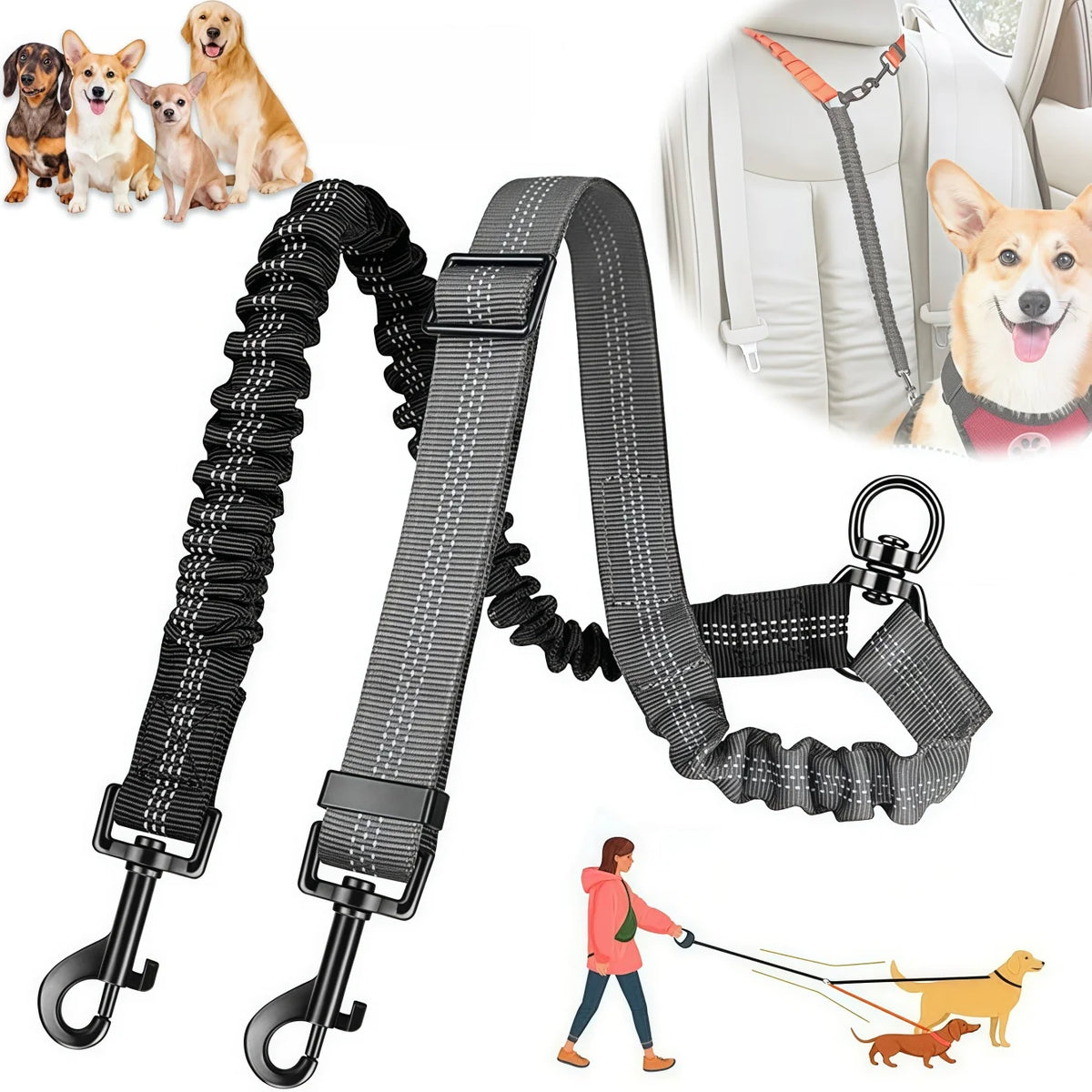 2-in-1 Dual Dog Leash – Heavy-Duty Double Lead for Two Dogs Dual Dog Leash Babs