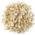 30/50Pcs Silk Artificial Rose Heads – Wedding & Home Décor Artificial Flower Heads Babs Blackish Green 50Pcs