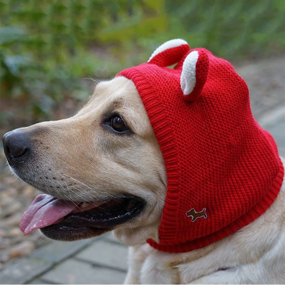 Pet Knitted Ear Muffs Hat – Winter Ear Warmer for Dogs & Cats Pet Winter Hat Babs