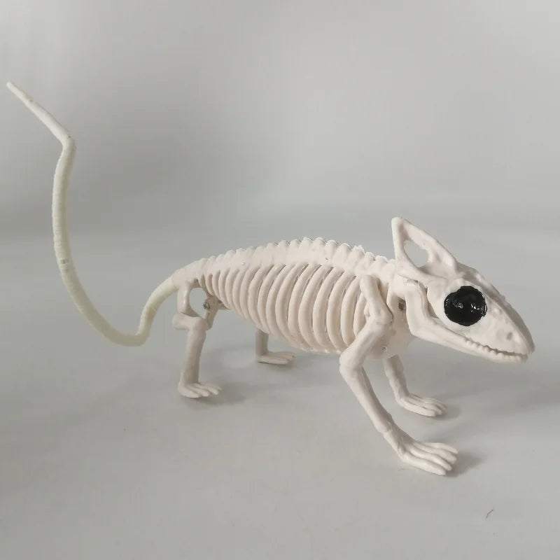 Halloween Skeleton Animal Bones Props – Bat, Spider & Scary Decor Halloween Prop Decoration Babs Lizard skeleton