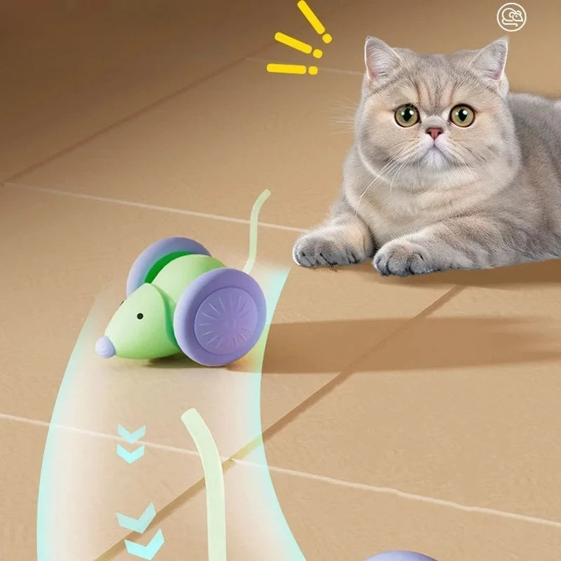 Rechargeable Electric Mouse Car Interactive Cat Toy – Auto Obstacle Interactive Cat Toy Babs