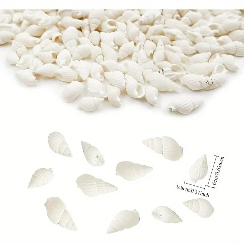 White Spiral Sea Shells 350pcs – Wedding, Decor & DIY Crafts Decorative Sea Shells Babs