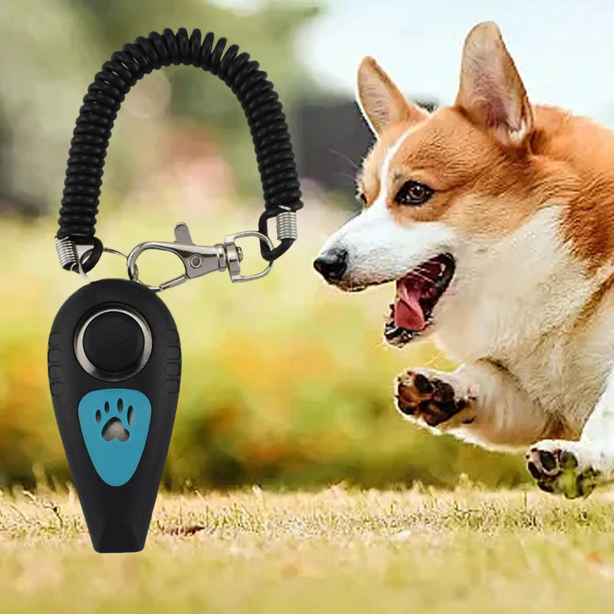 Dog Training Clicker with Wrist Strap – Cat & Pet Trainer Pet Training Clicker Babs
