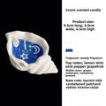Sea Shell Aromatherapy Scented Candle – Handmade Jelly Wax Scented Candle Babs dark blue