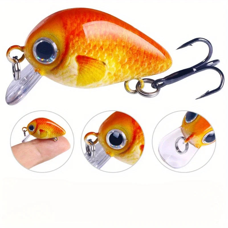 5-Piece Mini Fishing Lure Set – 3D Crank Bait with Tackle Box Fishing Lure Set Babs