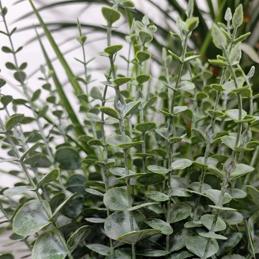 Artificial Eucalyptus Stems – Real Touch Faux Greenery Branches Artificial Greenery Stems Babs