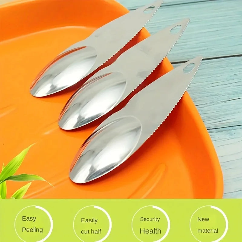 Stainless Steel Kiwi Knife – Fruit Peeling & Scooping Tool Fruit Peeling Tool Babs