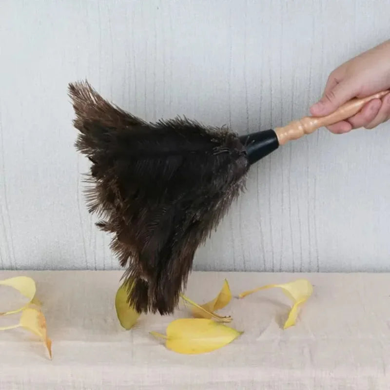 Ostrich Feather Duster with Wooden Handle – Anti-Static Feather Duster Babs