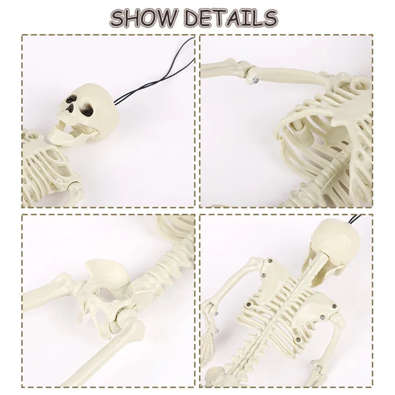 40cm Posable Halloween Skeleton Skull Horror Prop & Party Decor Halloween Skeleton Prop Babs