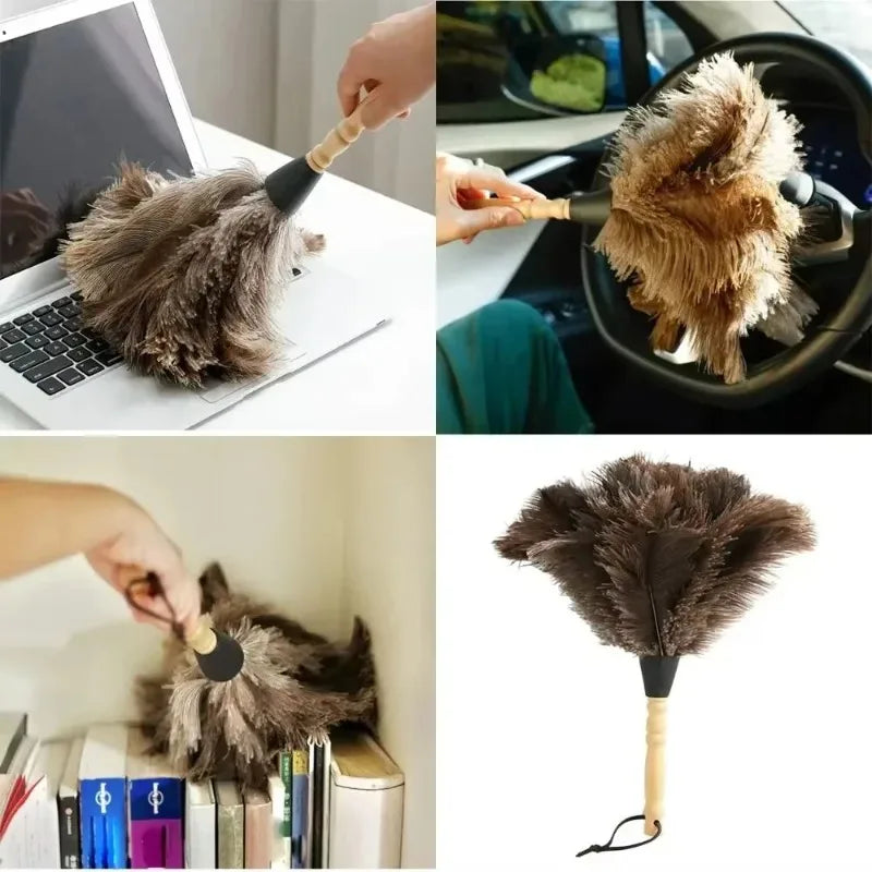 Ostrich Feather Duster with Wooden Handle – Anti-Static Feather Duster Babs