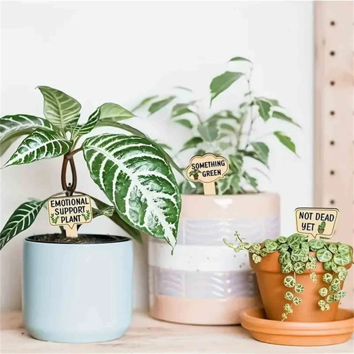 15 Wooden Plant Labels with Slogans – T-Shaped Garden Markers Garden Plant Markers Babs