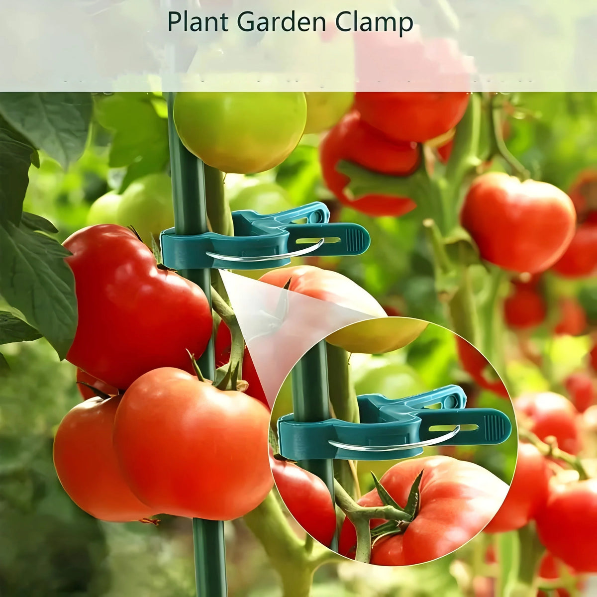 Plant Support Clips for Tomatoes & Climbing Vines | Garden Garden Plant Clips Babs