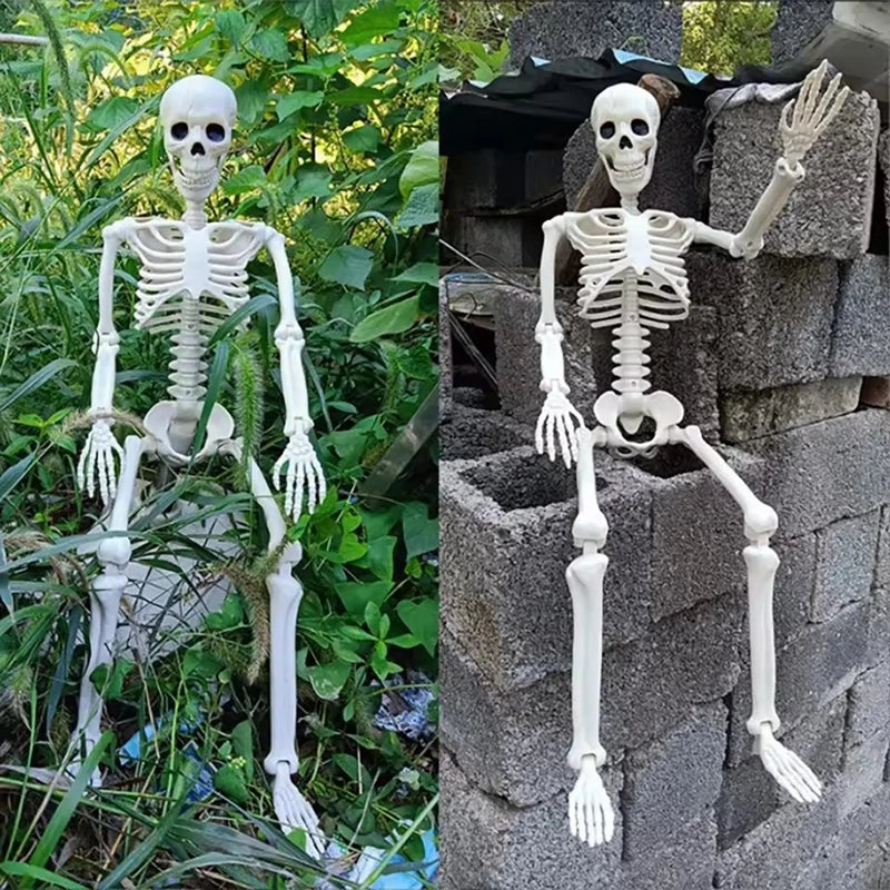 40cm Posable Halloween Skull Skeleton – Haunted House Decor Prop Halloween Skeleton Prop Babs