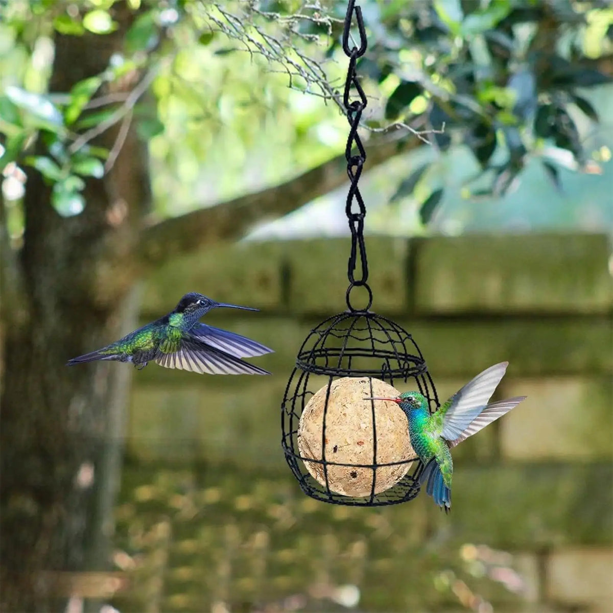 Hanging Metal Suet Ball Bird Feeder – Garden Wild Bird Feeder Suet Ball Bird Feeder Babs