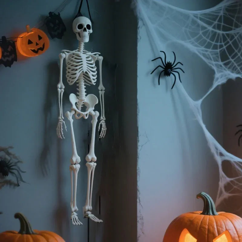 40cm Posable Halloween Skull Skeleton – Haunted House Decor Prop Halloween Skeleton Prop Babs